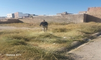 پاسخگویی سریع مدیریت شهری به درخواست شهروندان؛ پ